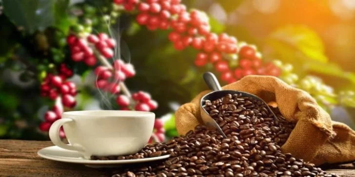 El Café en Honduras: sitúa al país entre los primeros 5 productores a nivel mundial.