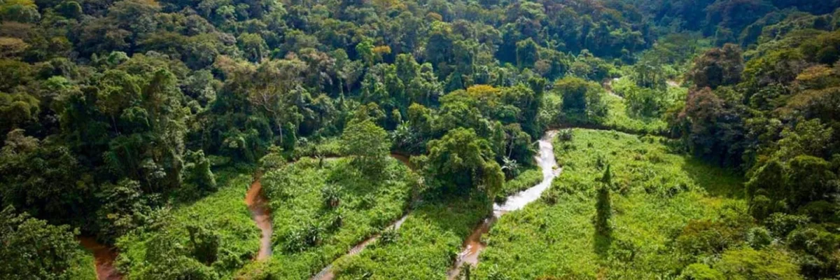 La Mosquitia: Conoce la zona de Honduras que posee el segundo bosque tropical húmedo más grande América después del Amazonas.
