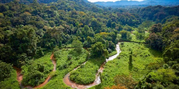 La Mosquitia: Conoce la zona de Honduras que posee el segundo bosque tropical húmedo más grande América después del Amazonas.