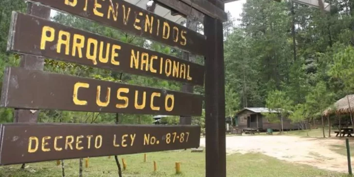 Parque Nacional Cusuco, una magnífica joya natural ubicada en la zona norte del país.