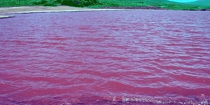 La Laguna Púrpura de Locomapa, una leyenda de la que se sigue hablando en la actualidad.