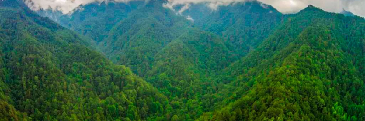Parque Nacional Celaque, hogar de la joya más alta de todo el territorio de Honduras.