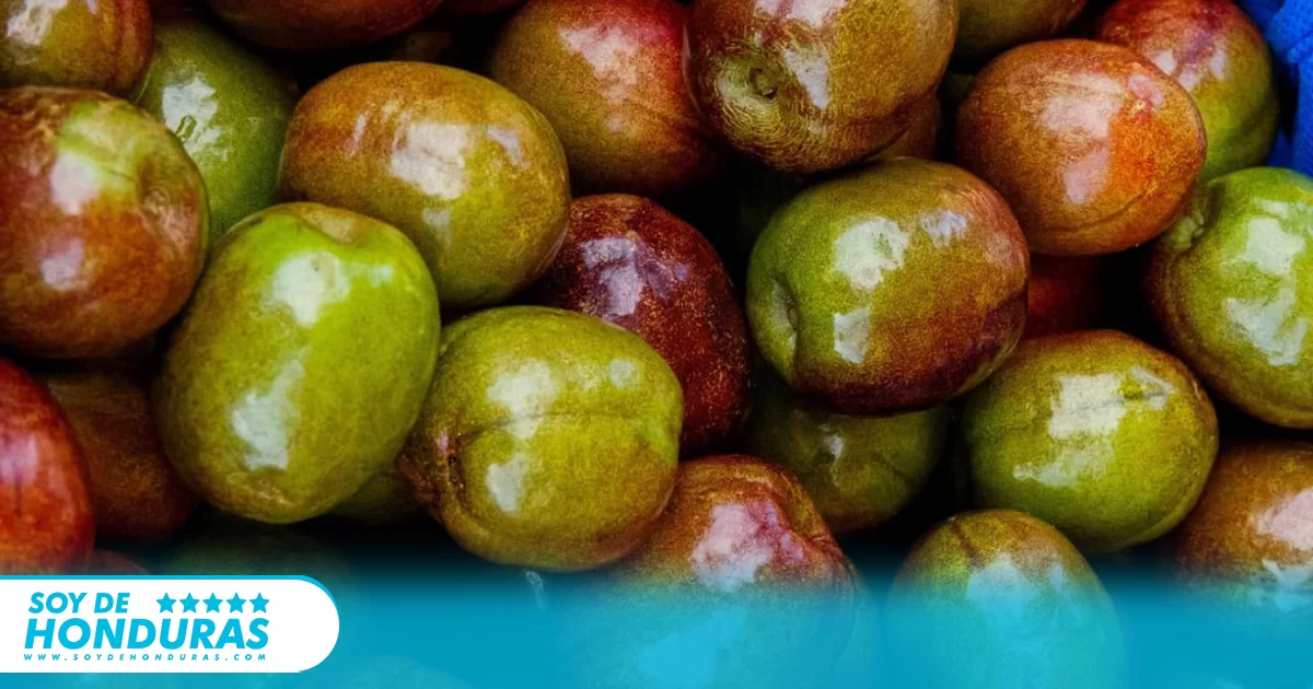 Frutas Exóticas de Honduras. - Soy de Honduras